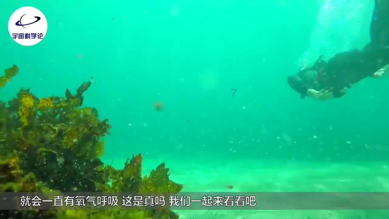 问答类网站 - 父母很作怎么办? - 解决你的问题